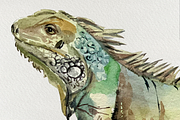 Watercolor Iguanas Clip Art, an Animal Illustration by Tati Bordiu (Thumbnail 4 of 4)