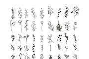 170 Wildflowers Line Art Botanicals, an Illustration by LifestyleCraftCo (Thumbnail 7 of 7)