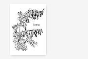 Dicentra with gorgeous flowers, a Decorative Illustration by Good Studio (Thumbnail 2 of 5)