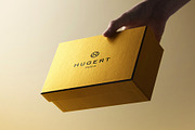 Logo Mockup Luxury Box in Hand, a Product Mockup by Asylab (Thumbnail 2 of 6)