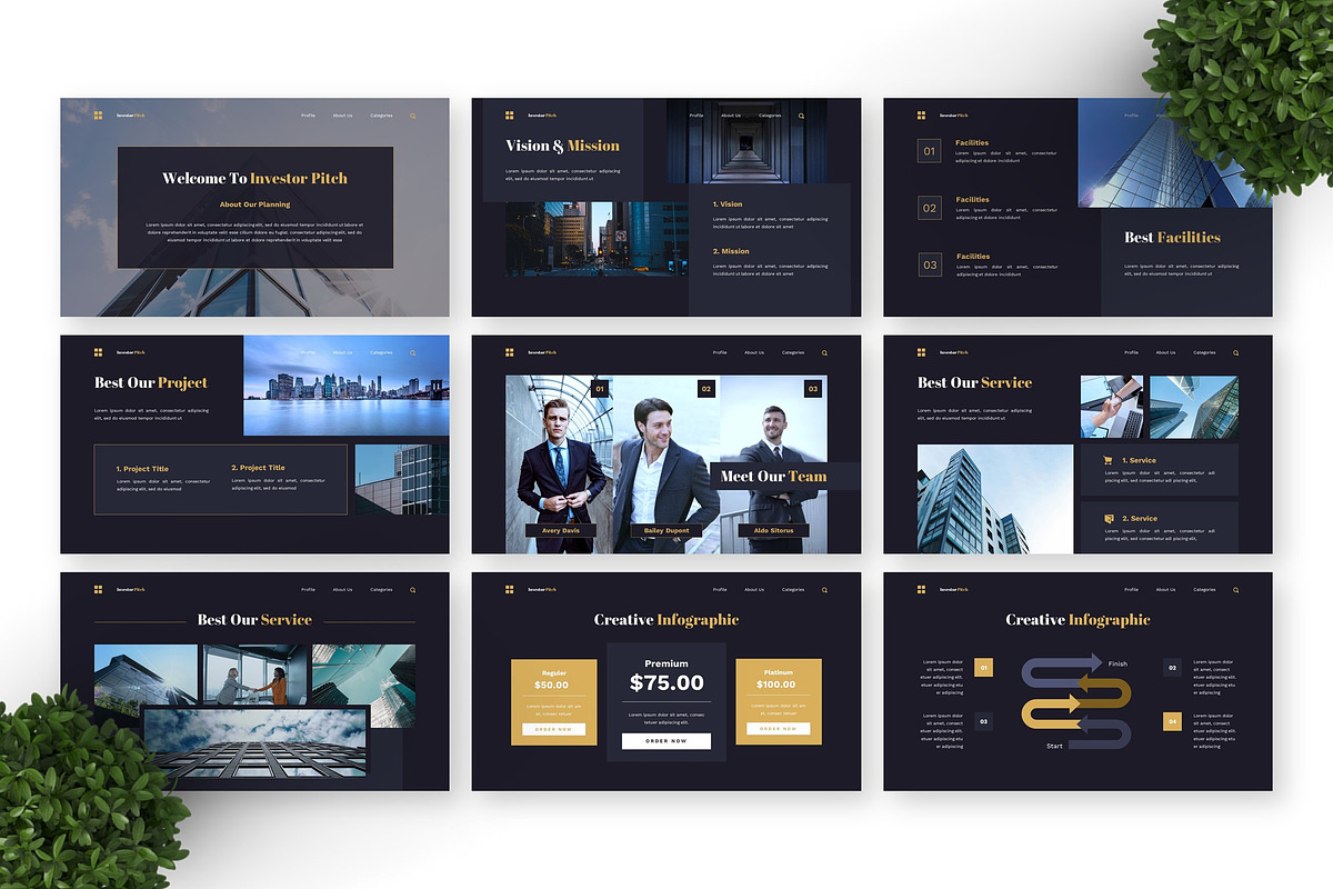 Investor Pitch - Business Powerpoint preview 3