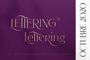 Nirotica, a Serif Font by TRF Fonts (Thumbnail 18 of 19)