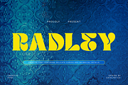 Radley Creative Font, a Script Font by Catalystco Studio (Thumbnail 1 of 7)