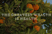 Tangerine, Outlined Font, a Font by WeGraphics (Thumbnail 3 of 3)
