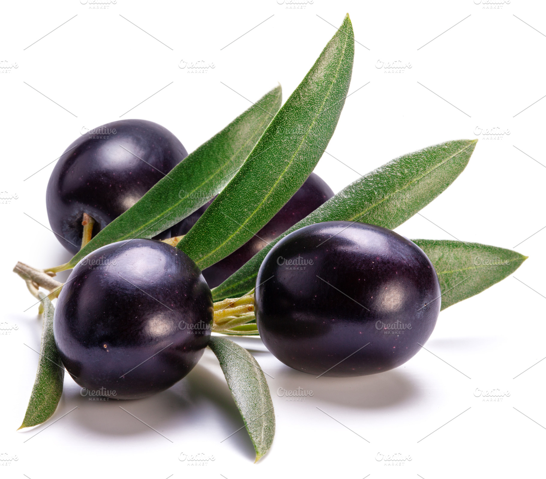 Ripe black olive berries on a twig, a Food & Drink Photo by Volff