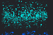 50 Bokeh Photoshop Brushes, a Brush Add-On by MixPixBox (Thumbnail 7 of 8)