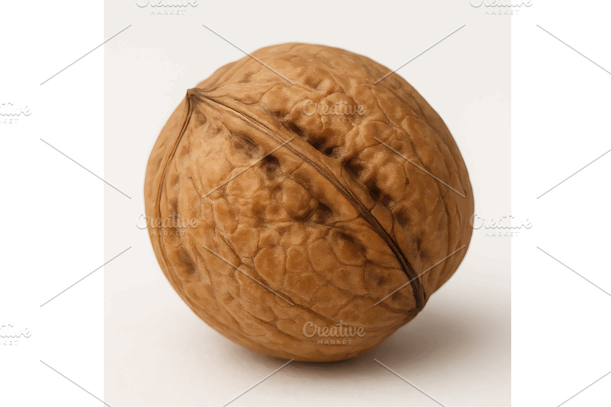 Whole walnut in shell isolated on, a Food Illustration by AlexArt