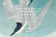 Moses - Display Grotesque Typeface, a Slab Serif Font by Nomad Visuals (Thumbnail 3 of 8)