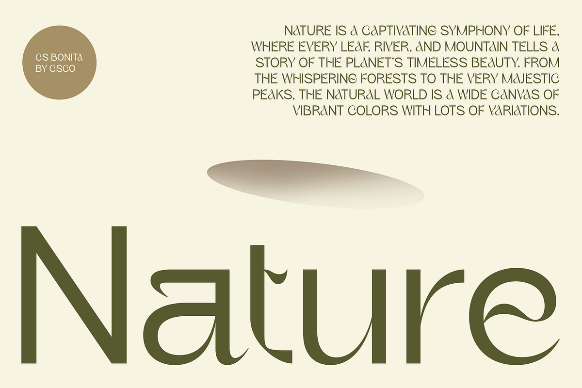 CS Bonita – Art Nouveau Font, a Sans Serif Font by Craft Supply Co. (Photo 3 of 8)