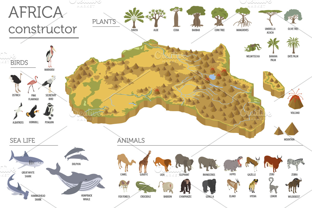 Africa isometric flora & fauna map, an Animal Illustration by pet design shop (Photo 4 of 5)