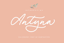 Antyna Handwritten Font
