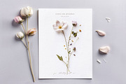 Pretty Wildflowers I Pressed Flowers, a Background Graphic by by creative paper (Thumbnail 8 of 14)