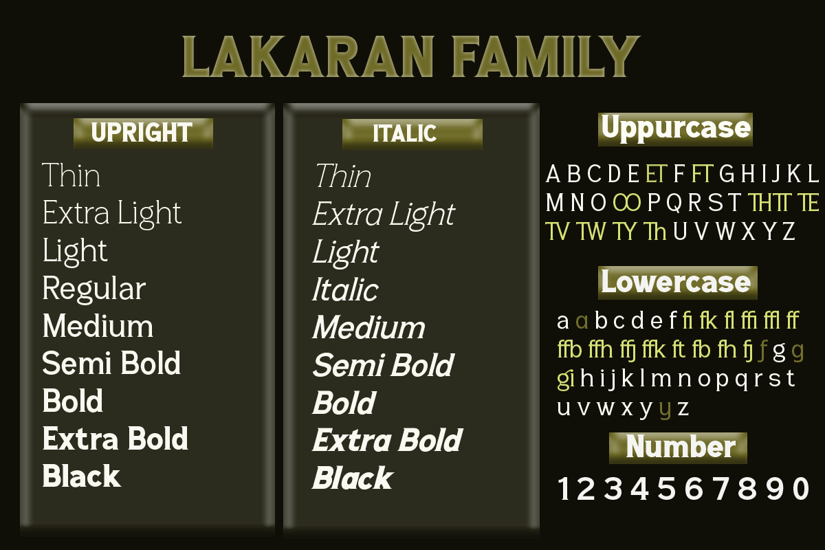Lakaran, a Serif Font by Differentialtype (Photo 4 of 8)