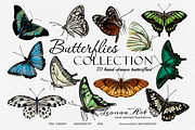 Butterflies Clipart Set, an Animal Illustration by Leonaa art (Thumbnail 9 of 12)