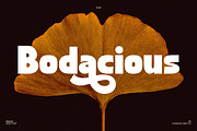 Bardy-Elegant Retro Sans Serif Font, a Sans Serif Font by Flawless And Co (Thumbnail 5 of 11)