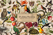 Vintage Collage Creator 1170+ Assets, an Object Graphic by Veris Studio (Thumbnail 21 of 56)