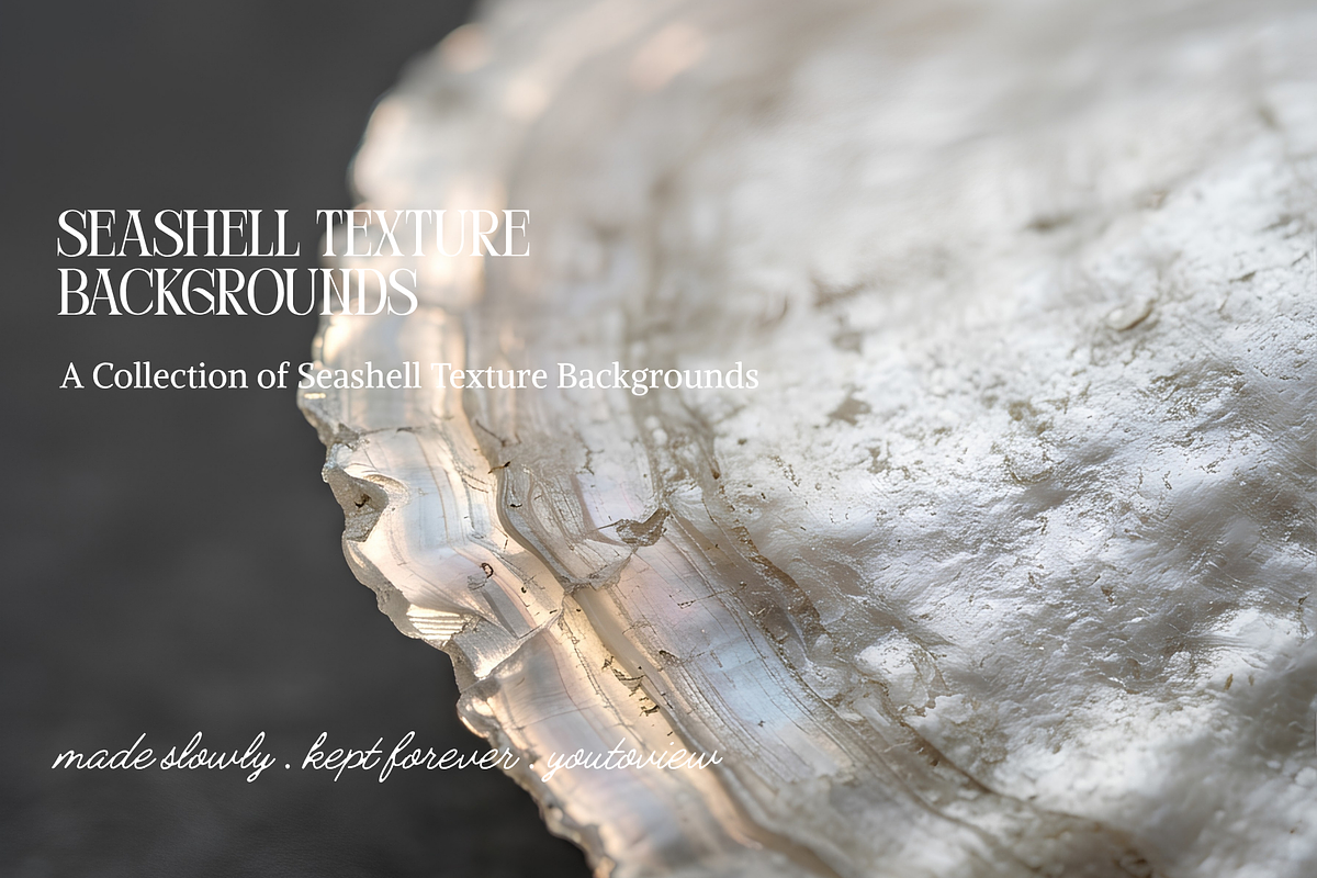 Seashell Texture Backgrounds, a Background Graphic by youtoview (Photo 10 of 12)
