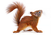 Turn photo into Animal Oil Panting, an Action Add-On by MRI STUDIO (Thumbnail 6 of 9)