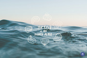 Sea Shells Whimsical Collection, an Object Graphic by Alena Koval (Thumbnail 19 of 19)