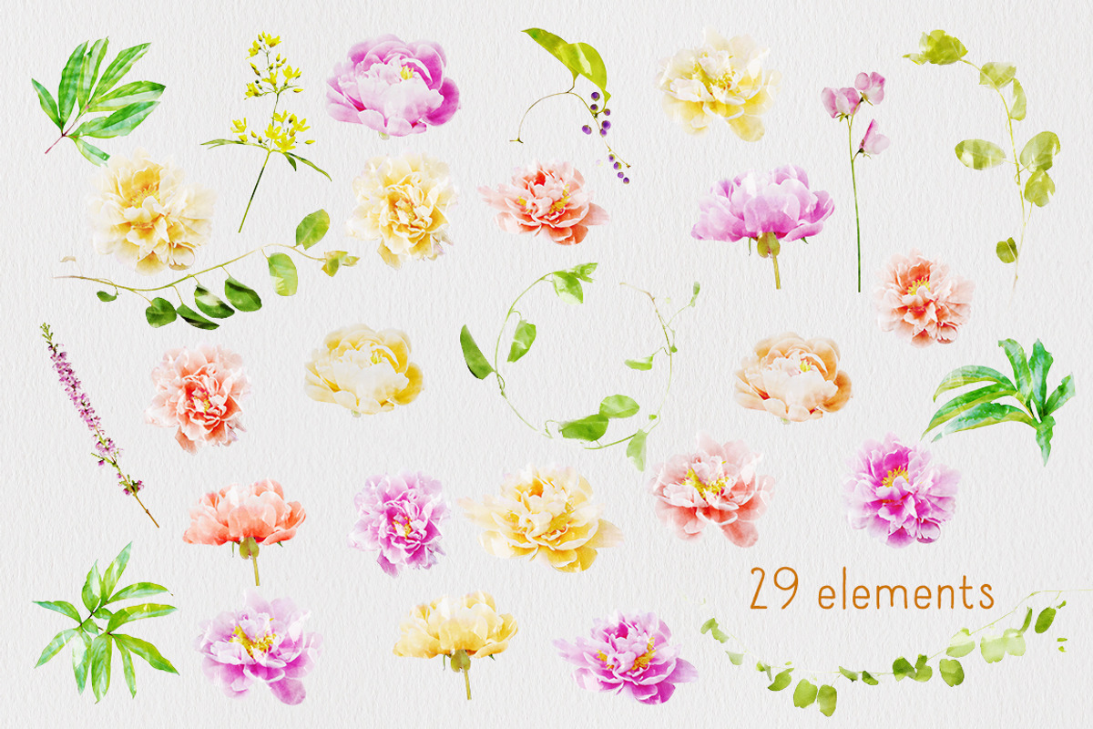 Watercolor Flowers - Peonies, a Graphic by TheSeventhDesire (Photo 5 of 10)