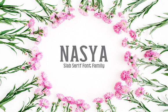 Nasya Slab Serif 4 Font Family Pack preview 8