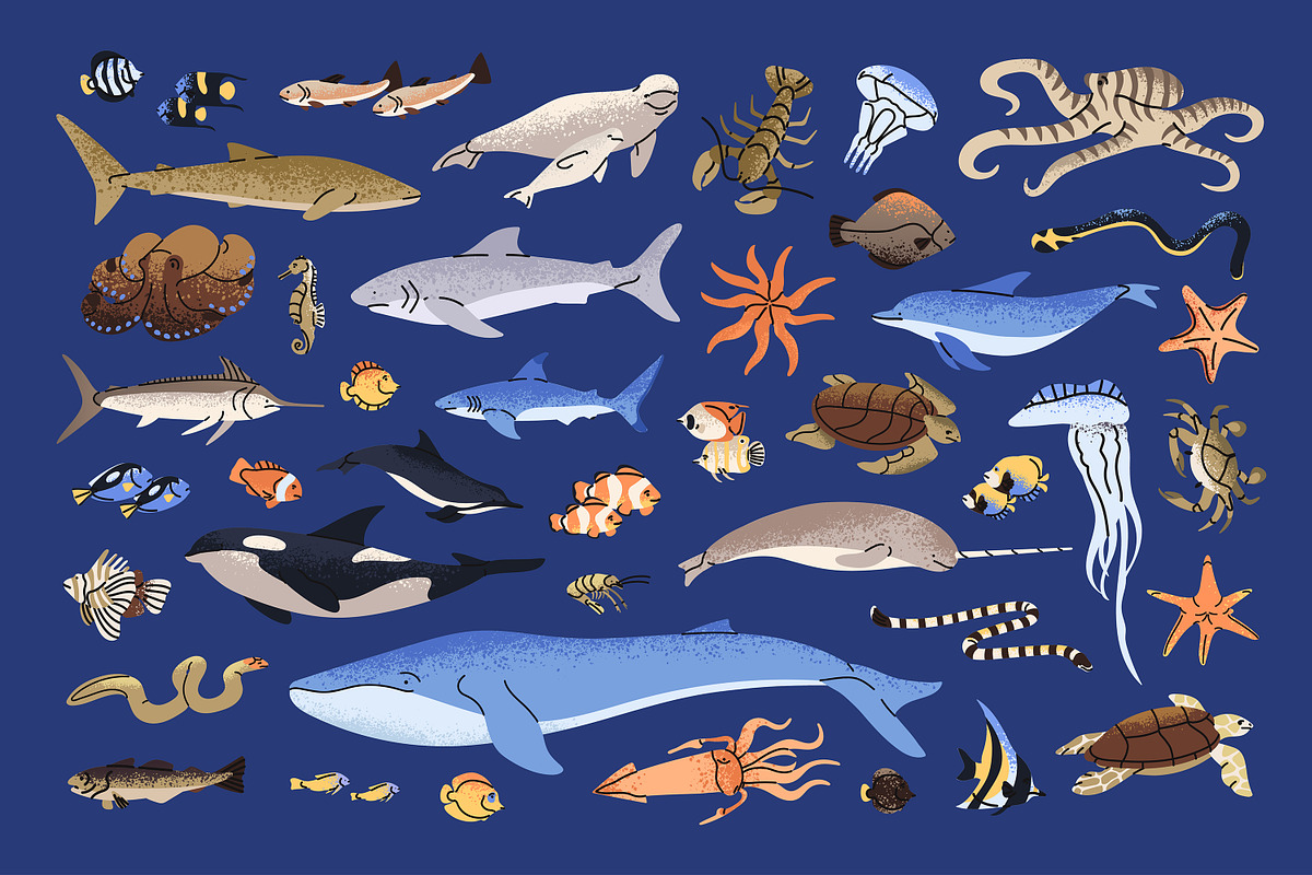 Fishes set + sea life backgrounds, an Animal Illustration by PaperTrident (Photo 1 of 8)