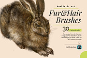 Realistic Fur & Hair Brushes, a Brush Add-On by ZiziMarket (Thumbnail 1 of 7)