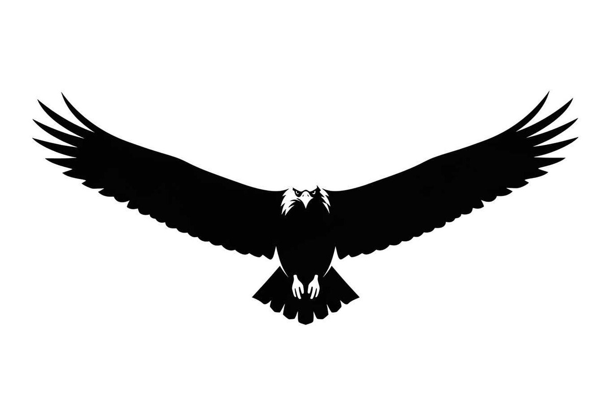 50 Flying Eagle Silhouette Vector Bu, an Illustration by Designs_River (Photo 31 of 51)
