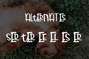 Little Red, a Sans Serif Font by OnTheSpotStudio (Thumbnail 3 of 3)
