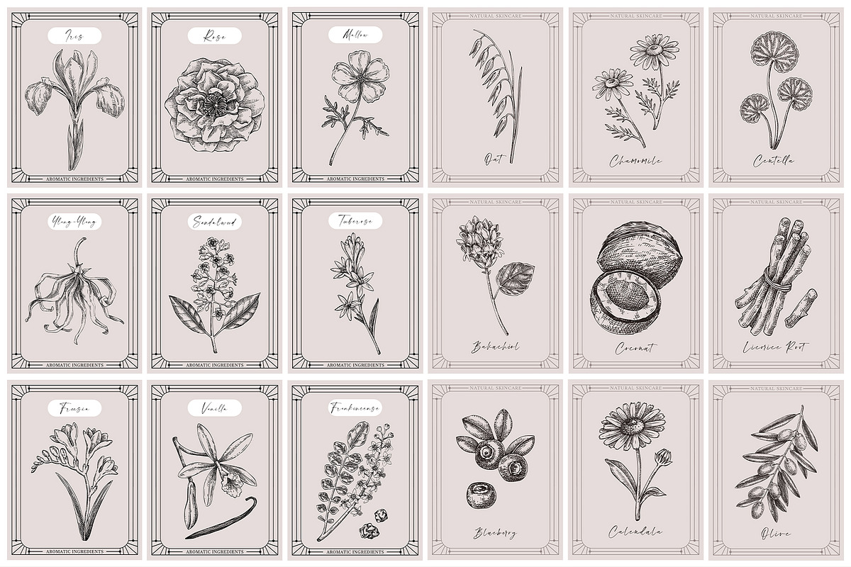 Botanical Beauty & Spa Branding Kit, a Healthcare Illustration by Yevheniia (Photo 10 of 12)