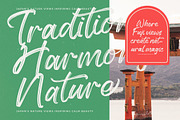 History Silentos Brush Script Font, a Script Font by stylishtype.co (Thumbnail 13 of 15)