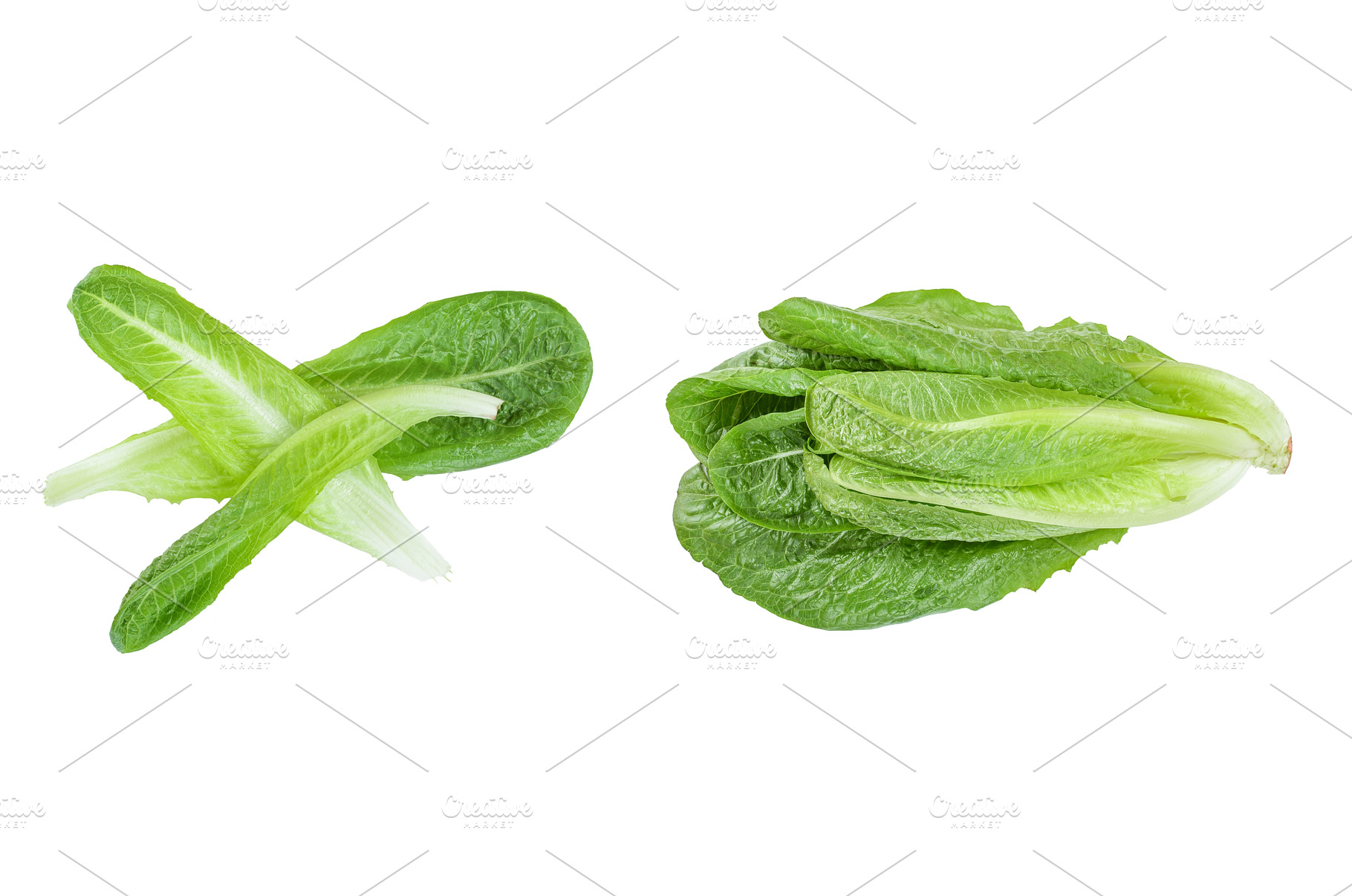fresh roman cos lettuce isolated on, a Food & Drink Photo by NataPhoto