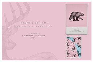 Illustration of animals 02