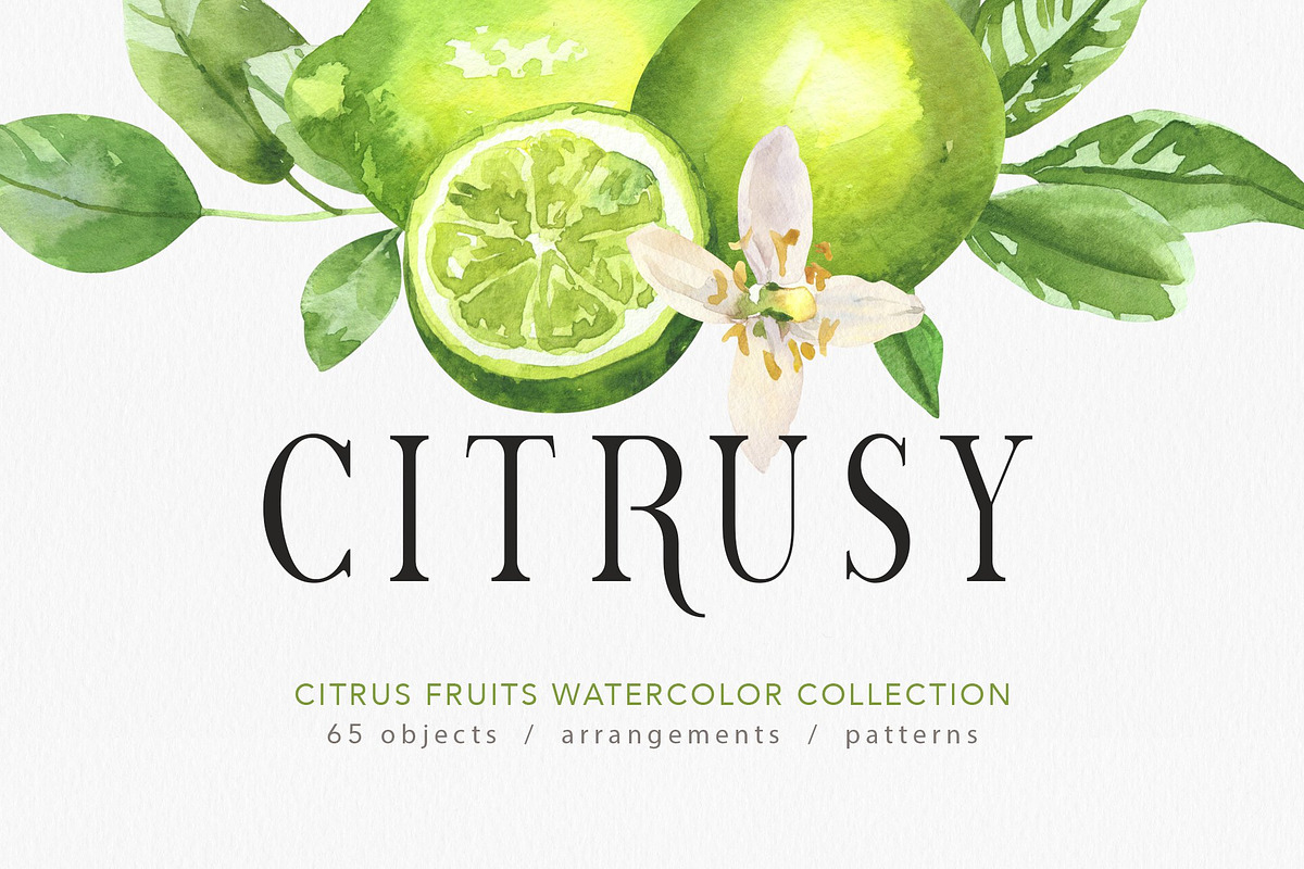 Citrusy Fruits watercolor collection, a Decorative Illustration by Volha Studio (Photo 1 of 10)