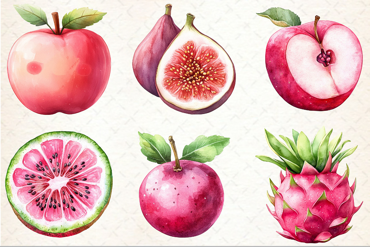Watercolor Pink Fruit Clipart, an Illustration by Rose Art (Photo 3 of 4)