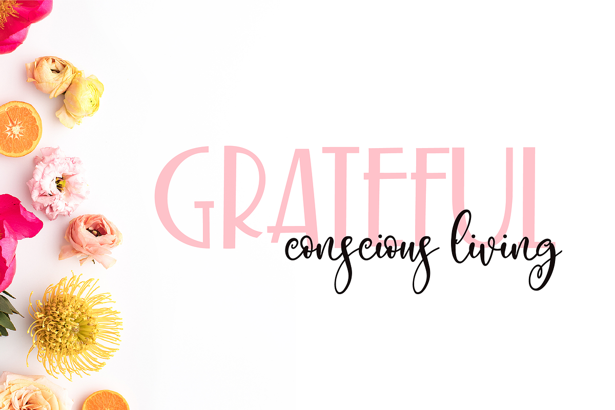 Exclusively Chic Font Duo preview 8