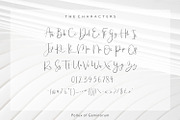 Meraviglias, a Script Font by Pollux of Geminorum (Thumbnail 4 of 12)