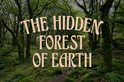 ED Bushland - Unique Display Serif, a Serif Font by Emyself Design (Thumbnail 4 of 10)