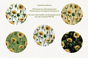 Sunflower watercolor clipart, an Illustration by Dina Guiter (Thumbnail 5 of 8)