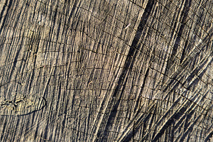 Close-up of a textured wooden surface with visible grain patterns and scratches, a Nature Photo by Textures & Backgrounds