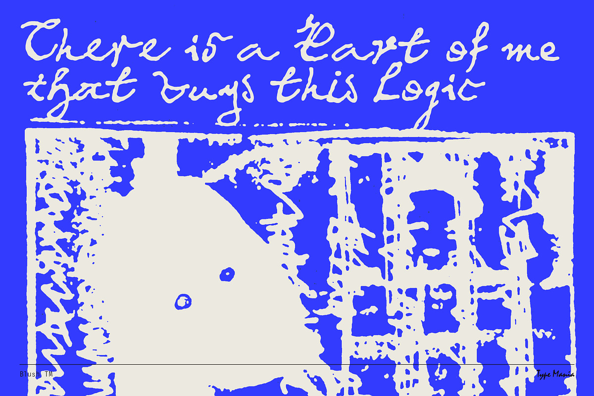 Blush TM – Messy Dynamic Script, a Handwritten Font by Type Mania (Photo 10 of 12)