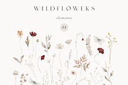 Wildflowers Watercolor Wild Botany, a Decorative Illustration by Kreker Kate (Thumbnail 10 of 11)