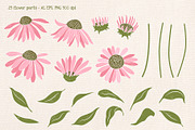 Coneflower Bloom Vector Clipart, an Illustration by Hanna's ArtLab (Thumbnail 3 of 9)