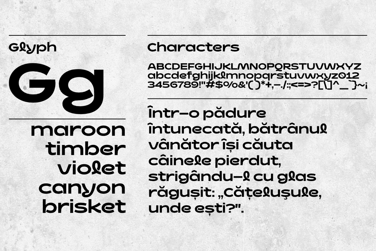 Dynalune, a Sans Serif Font by Muhammad Hastian (Photo 2 of 8)