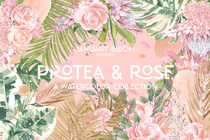 Tropical Romance modern floral rose, an Illustration by January Bloom