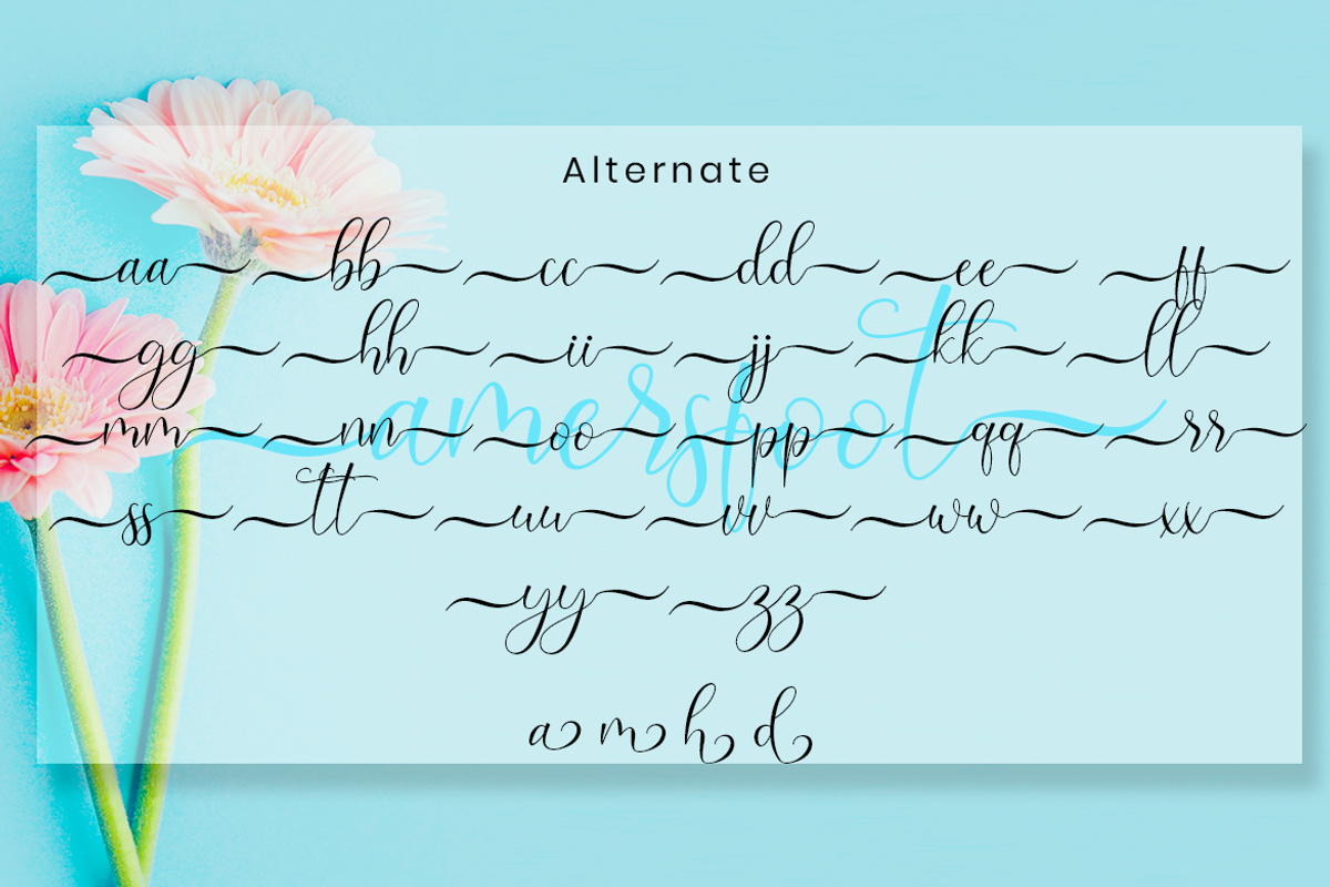 Amersfoot Script Calligraphy, a Script Font by MC Creative (Photo 8 of 8)