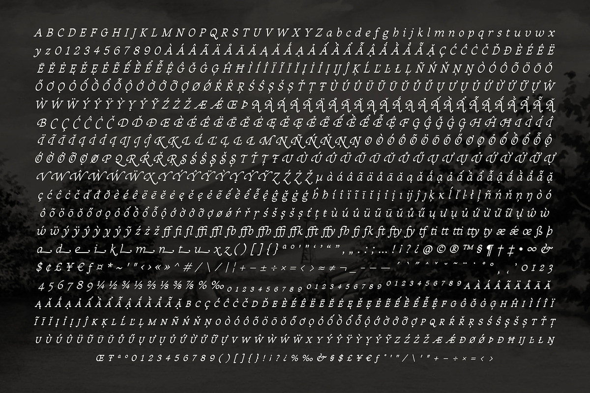 Sandleford Italic, a Serif Font by Simon Walker (Photo 8 of 9)