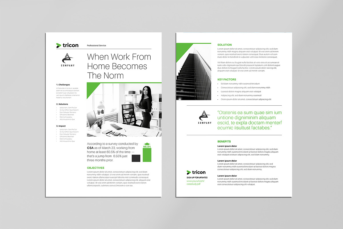 Case Study Flyer, a Flyer Template by Rongbaaz (Photo 2 of 2)