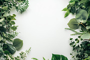 99 Frames of green leaves, a Nature Photo by Handmadefont (Thumbnail 32 of 100)