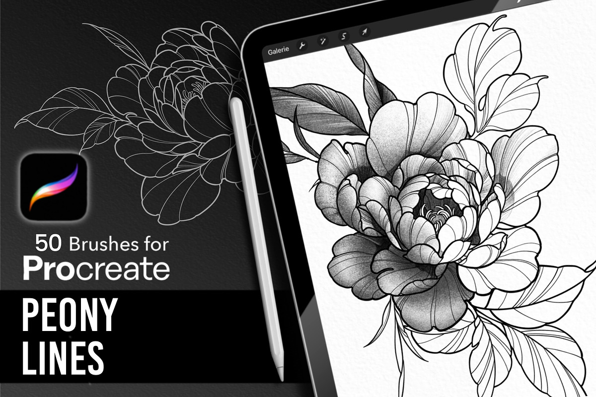 Peony Lines, Procreate Stamp Brushes, a Brush Add-On by InkRef (Photo 1 of 4)